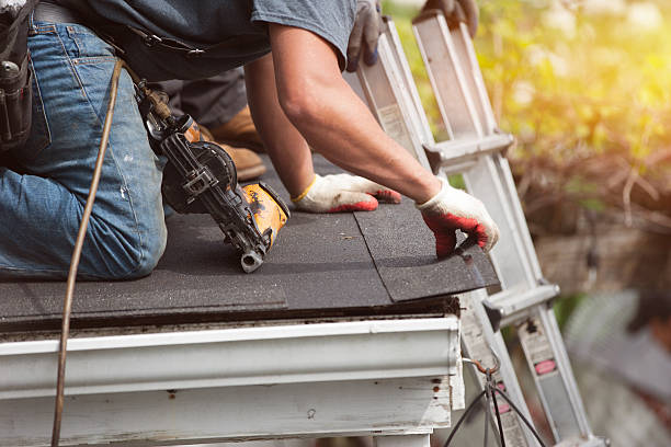 Best Storm Damage Roof Repair  in Catlettsburg, KY